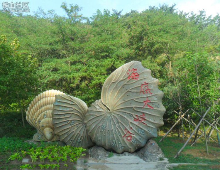 透明或半透明贝壳材质在雕塑创作中能营造出怎样的艺术效果